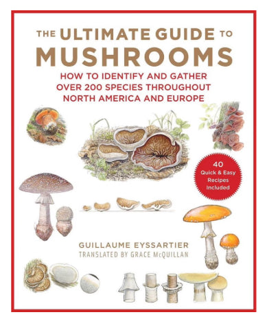 The Ultimate Guide to Mushrooms